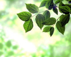 �����������������C���[�W